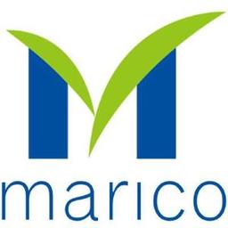 Marico Gulf LLC